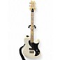 Used PRS NF53 SE WHITE DOGHAIR Solid Body Electric Guitar thumbnail