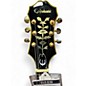 Used Epiphone Sheraton II Ebony Hollow Body Electric Guitar