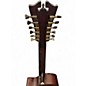 Used D'Angelico Premier Fulton 12-String Aged Burst 12 String Acoustic Guitar