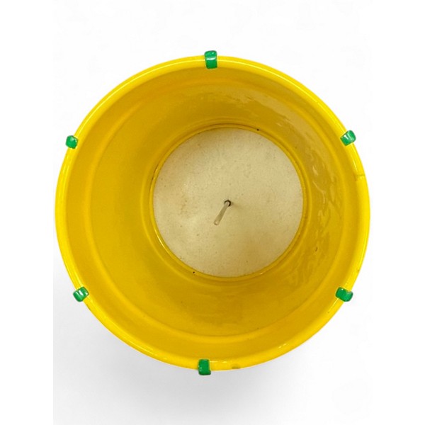 Used Pearl cuica Cuica