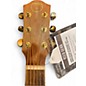Used Teton STS203NT-OP Mahogany Acoustic Guitar