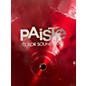 Used Paiste 14in Colorsound 900 Cymbal
