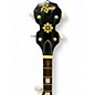 Used Rogue B30 Deluxe Brown Banjo