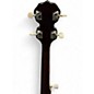 Used Rogue B30 Deluxe Brown Banjo