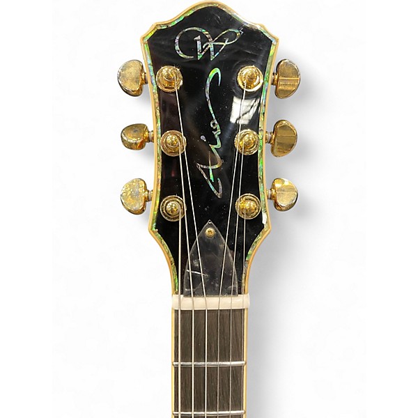 Used Aio WLP 750T Red Wine Burst Solid Body Electric Guitar