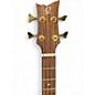 Used Ortega Deep Series 9 Brown Sunburst Acoustic Bass Guitar