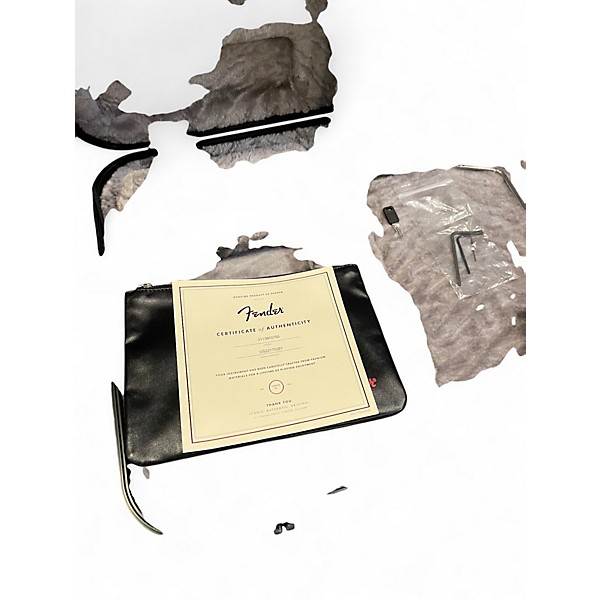 Used 2022 Fender American Professional II Stratocaster Mercury Solid Body Electric Guitar