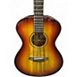 Used Breedlove Oregon Concert LTD earthsong burst Acoustic Guitar
