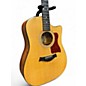 Used Taylor 310CE-L10 Fall Limited Edition Natural Acoustic Electric Guitar
