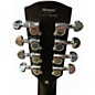 Used Alvarez ABT60CE 8-String Baritone Black Acoustic Electric Guitar
