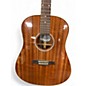 Used Seagull Maritime SWS Mahogany Acoustic Guitar