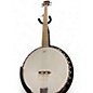 Used Rogue b30 Natural Banjo