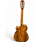 Used Luna VINEYARD KOA NYL E KOA Classical Acoustic Electric Guitar
