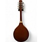 Used Kentucky KM160 2 Color Sunburst Mandolin