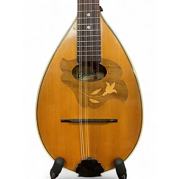 Used Egmond Mandolin Natural Mandolin