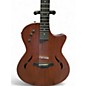 Used Taylor T5 CLASSIC Mahogany Acoustic Electric Guitar