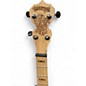 Used Deering Goodtime 5 String Natural Banjo