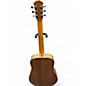 Used Taylor BT1 Natural Acoustic Guitar