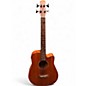 Used Gold Tone M BASS25 Mahogany Acoustic Bass Guitar thumbnail