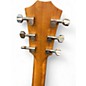 Used Taylor GTE URBAN ASH URBAN ASH Acoustic Guitar