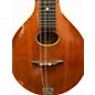 Vintage 1910s Gibson MODEL A MANDOLIN Natural Mandolin