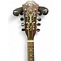 Used 1915 Orpheum Mandolin Banjo Natural Mandolin