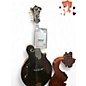 Used Odell F5 MANDOLIN BLACK Mandolin