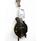 Used Odell F5 MANDOLIN BLACK Mandolin