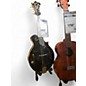Used Odell F5 MANDOLIN BLACK Mandolin