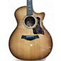 Used Taylor 50th Anniversary 314ce LTD  EDGE BURST Acoustic Electric Guitar