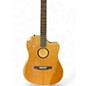 Used LR Baggs AEG-1 Natural Acoustic Electric Guitar