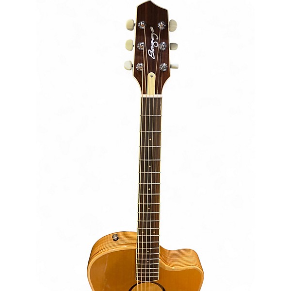 Used LR Baggs AEG-1 Natural Acoustic Electric Guitar