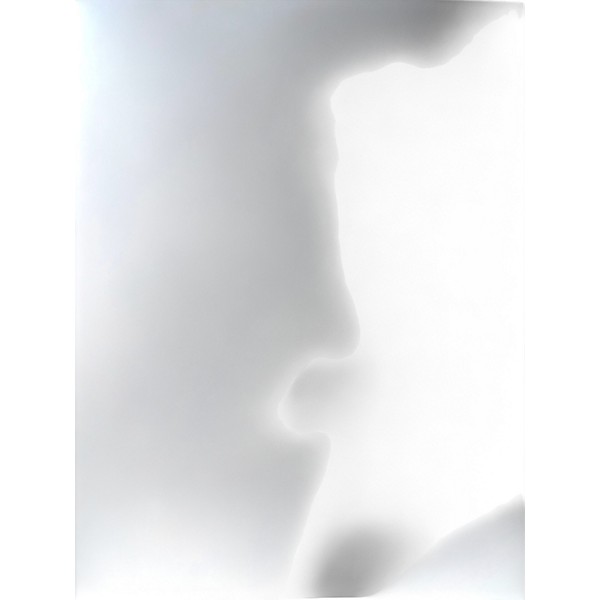 Used Dry Bell THE ENGINE Effect Pedal