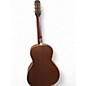 Used Iris CUSTOM MS 00 Mahogany Acoustic Guitar