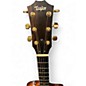 Used 2020 Taylor 224CEKDLX Shaded Edge Burst Acoustic Electric Guitar