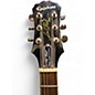 Used Epiphone Les Paul 1960 tribute plus Transparent charcoal Solid Body Electric Guitar