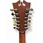 Used D'Angelico Premier Fulton Sunburst 12 String Acoustic Electric Guitar