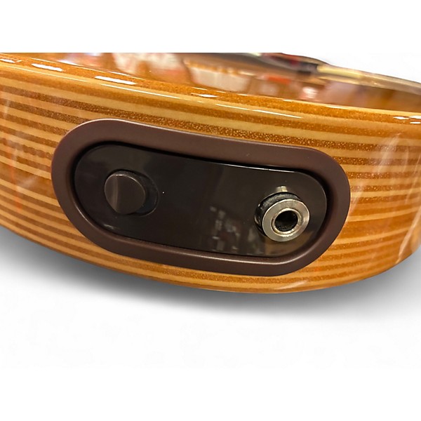 Used LR Baggs AEG-1 Natural Acoustic Electric Guitar