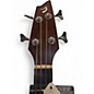 Used Breedlove ABJ250SM4 Natural Acoustic Bass Guitar