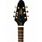Used Tokai Flying V Korina Black Solid Body Electric Guitar