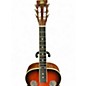 Used Rogue CLASSIC SPIDER Sunburst Resonator Guitar