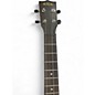 Used Kala KAZCTB Brown Ukulele