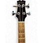 Used Mitchell EZB 2 Color Sunburst Acoustic Bass Guitar