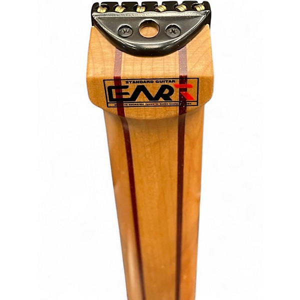 Used Eart GW-2  Black Solid Body Electric Guitar