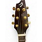 Used Breedlove ad25/sf 3 Tone Sunburst Acoustic Electric Guitar