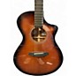 Used Breedlove PERFORMER CONCERT BOURBON Acoustic Electric Guitar
