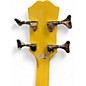 Used Epiphone NEWPORT BASS TV Yellow Electric Bass Guitar