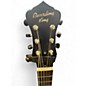 Used Recording King RM-991 Chrome Acoustic Guitar