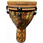 Used Remo Mondo Leon Mobley Series Djembe Djembe