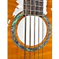 Used 2020s Michael Kelly MKDF5FL Dragonfly 5 String Amber Acoustic Bass Guitar